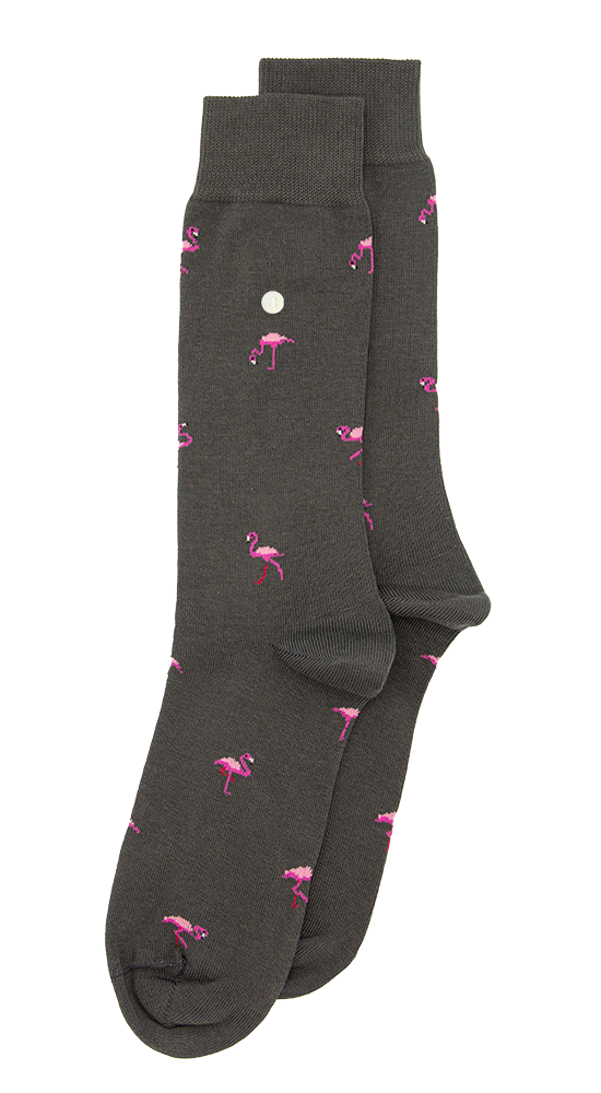 Flamingos | Anthracite