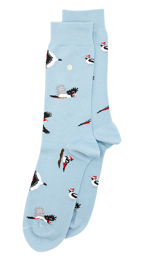 Woodpeckers | Light Blue